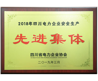 四川省電力企業(yè)協(xié)會頒發(fā)的安全生產(chǎn)先進集體
