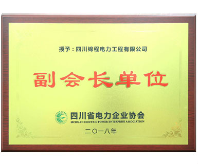 四川省電力企業(yè)協(xié)會副會長單位